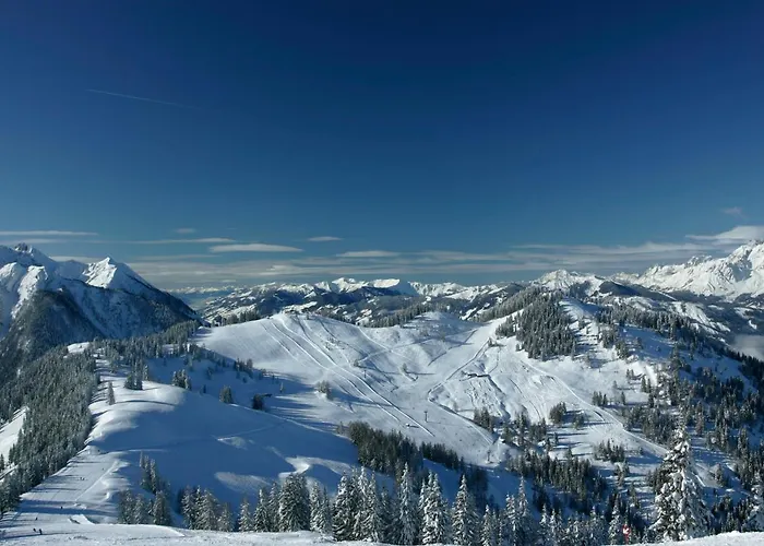 - Florian Aparthotel 3*