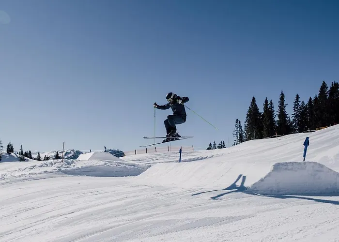 - Florian Aparthotel Sankt Johann im Pongau